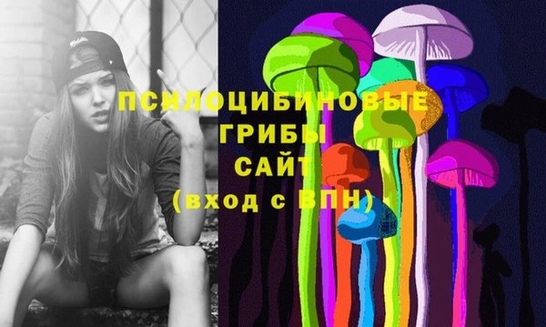 spice Михайловск