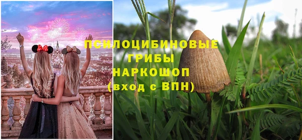 spice Михайловск