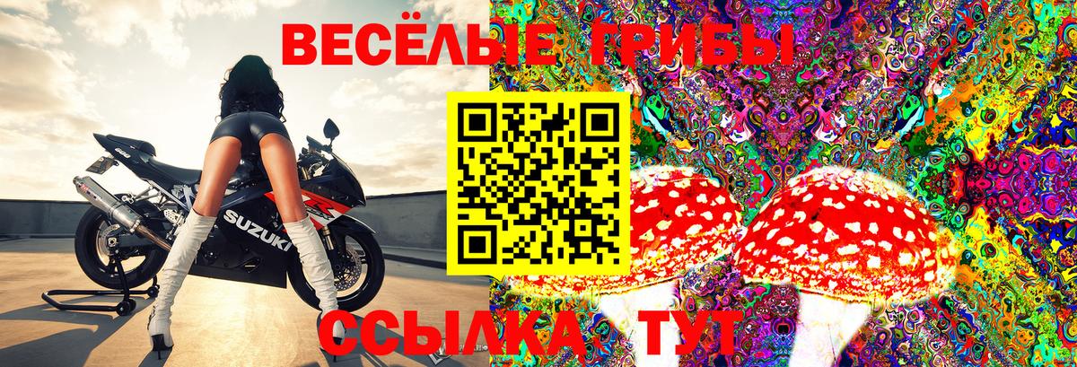 Псилоцибиновые грибы GOLDEN TEACHER  Галлюциногенные грибы MAGIC MUSHROOMS  где можно купить   Белая Калитва  Вход с VPN 