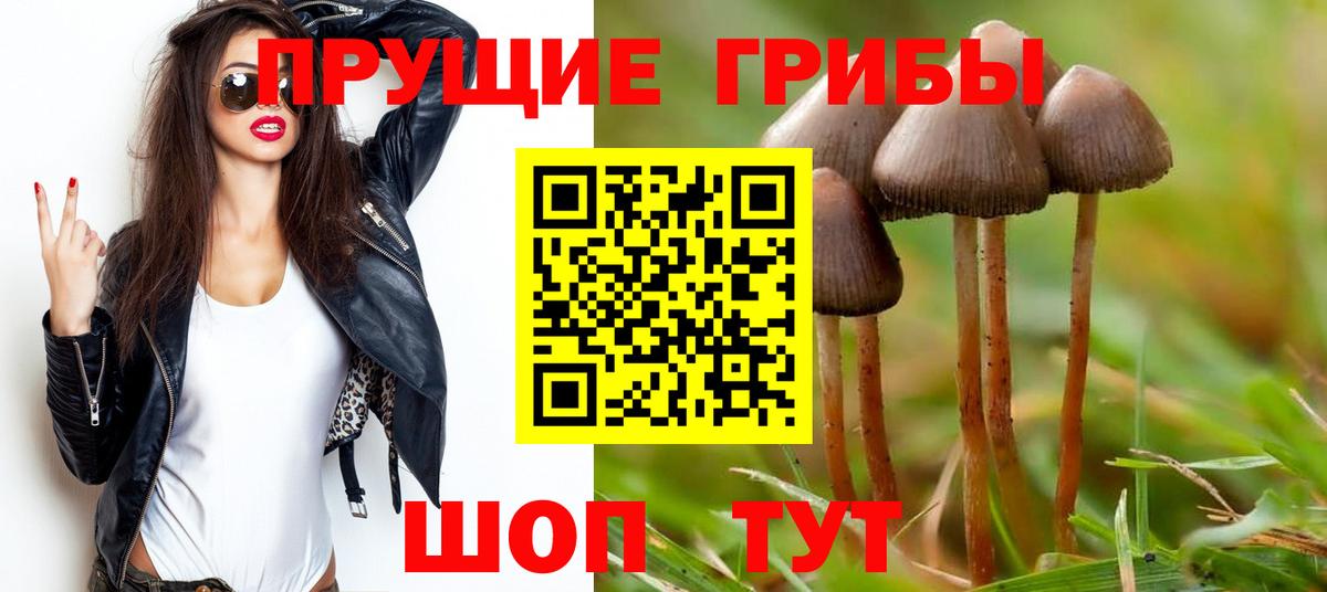 Галлюциногенные грибы мицелий  Белая Калитва 