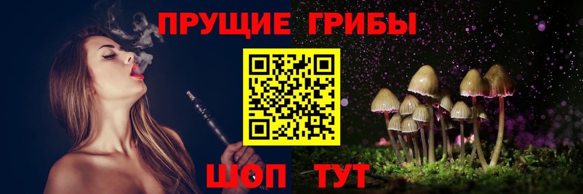Псилоцибиновые грибы Psilocybe Белая Калитва